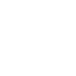 Python Preset Icon