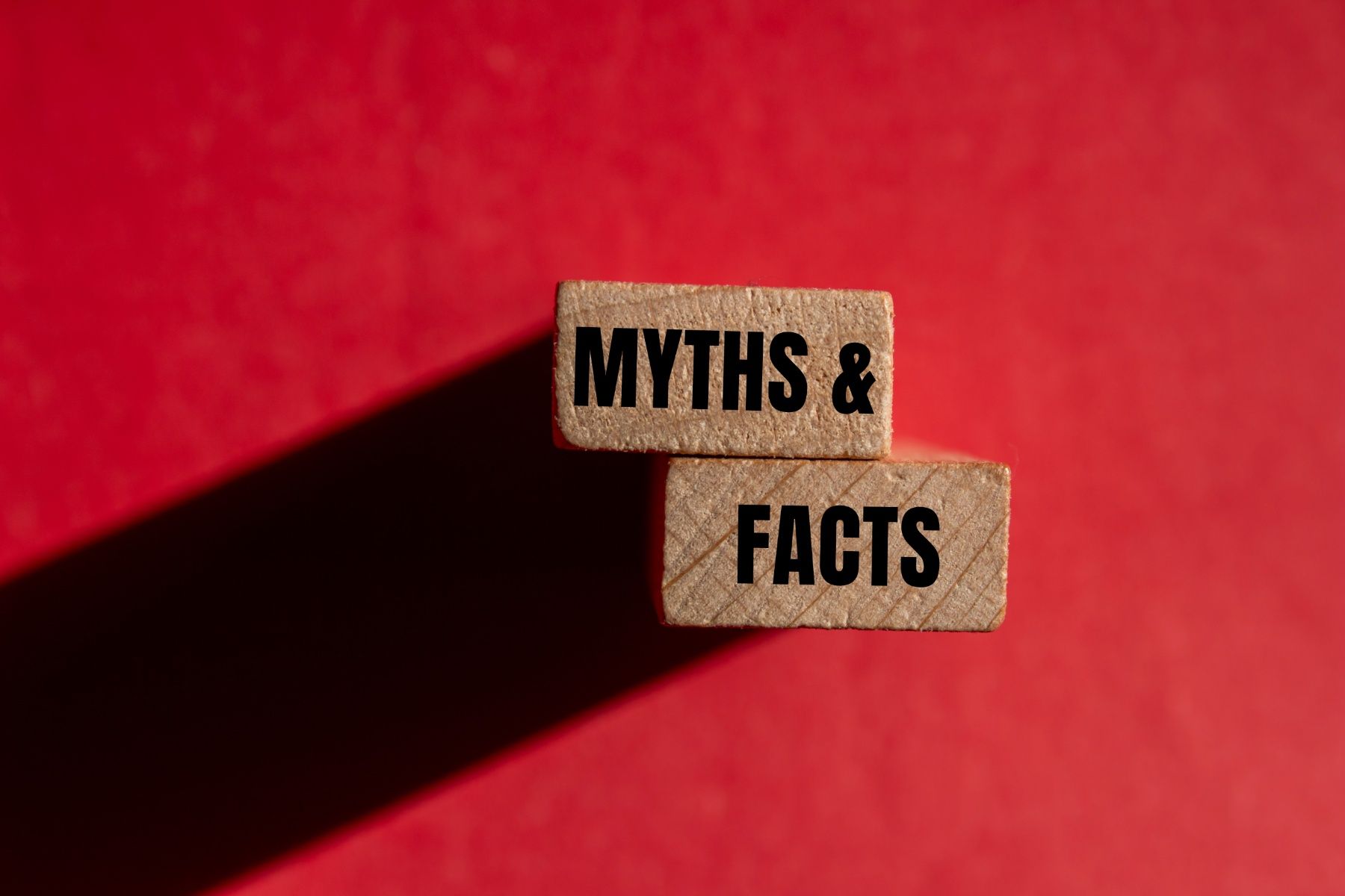 Don't Let These Homebuying Myths Keep You from Your Dream Home image